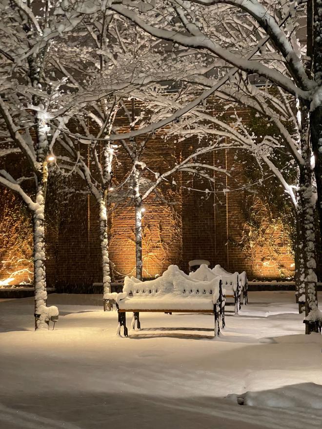 公園長椅被厚厚的積雪所覆蓋